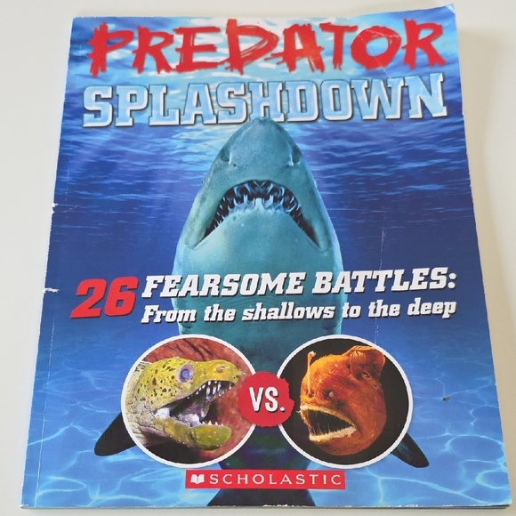 Children's Shark and Pirate Book Set Bundle - Picture 13 of 16